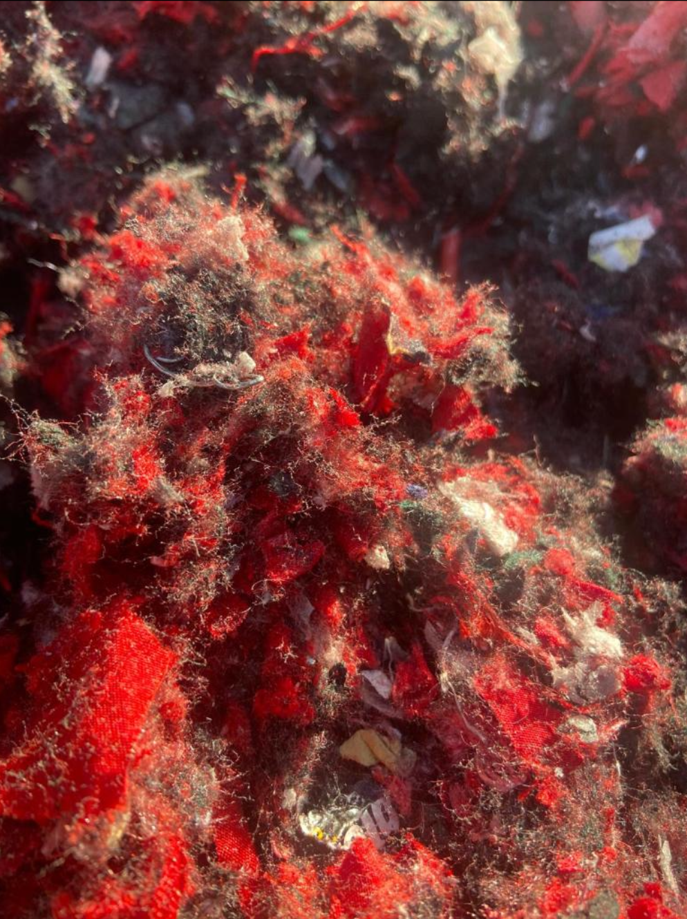 Shredded Branded Footwear