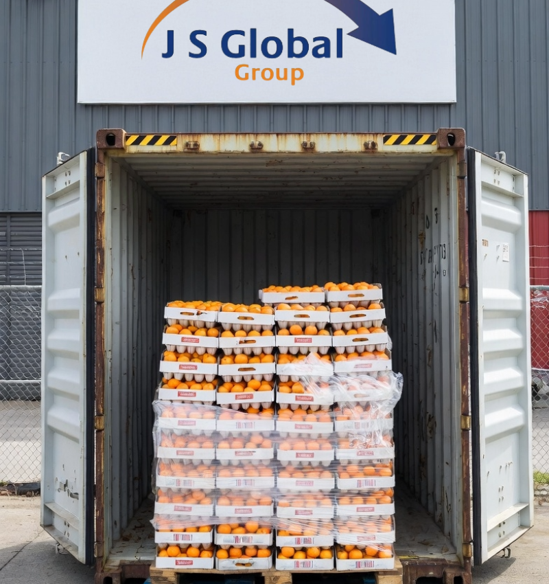 TANGERINES - JS GLOBAL